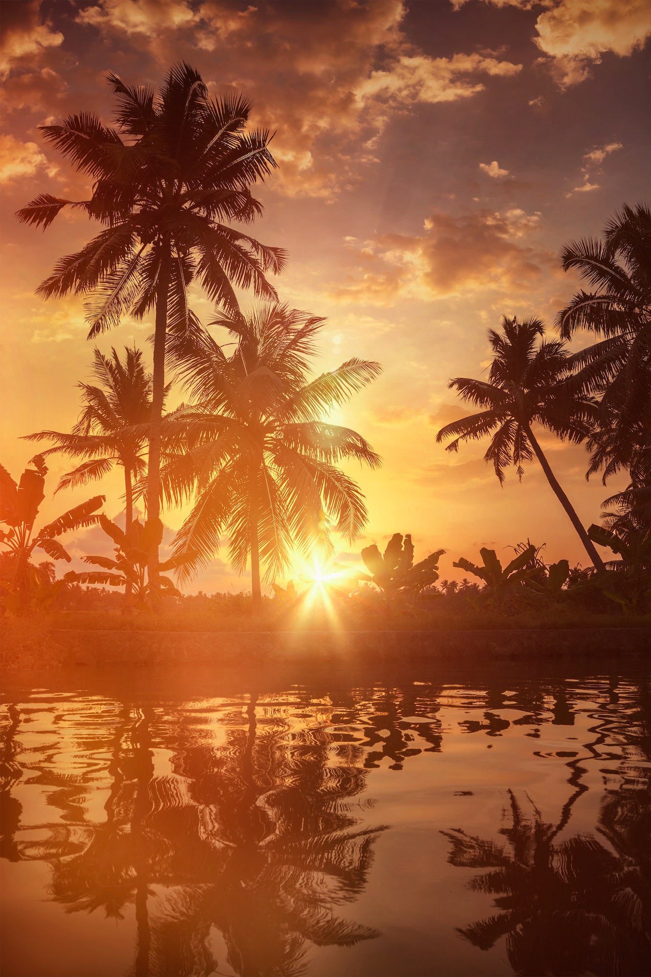 Sunset on Kerala backwaters